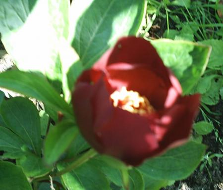 gallery_14731_2063_61768.jpg