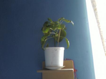 gallery_11550_2072_9204.jpg