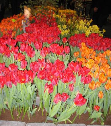 gallery_2529_1142_79520.jpg