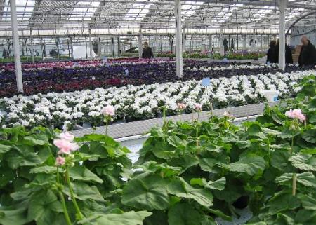 gallery_2529_1142_8274.jpg