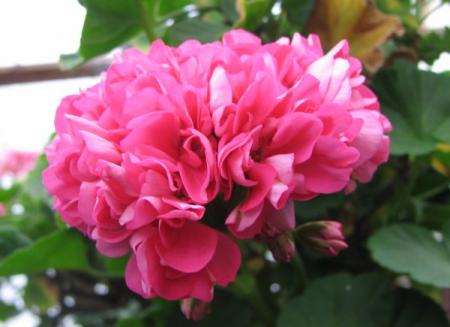 gallery_7001_2088_28629.jpg