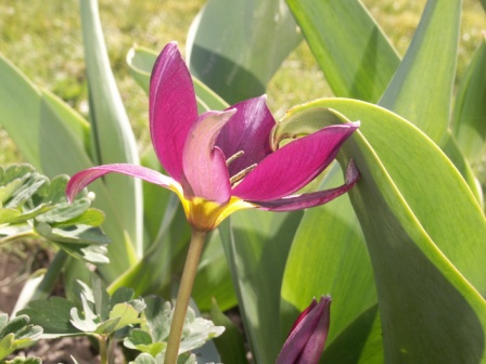 gallery_5327_2094_23763.jpg