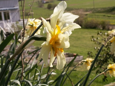 gallery_5327_2094_46695.jpg
