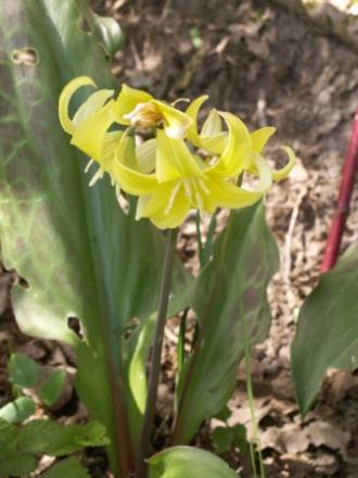 gallery_5327_2094_11028.jpg