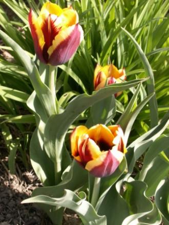 gallery_5327_2094_97299.jpg