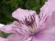 tn_gallery_5327_2094_68542.jpg