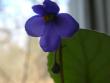 tn_gallery_2821_2099_29577.jpg