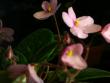 tn_gallery_2821_2099_94613.jpg