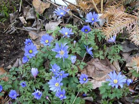 gallery_5307_2014_44246.jpg
