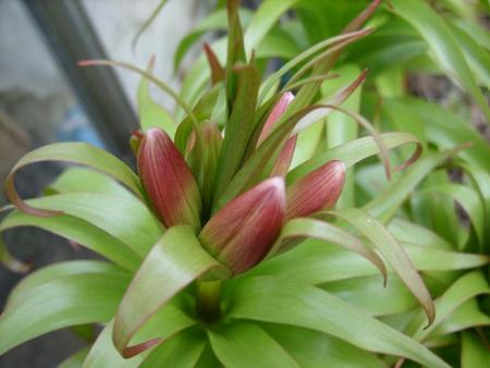 gallery_5307_2014_52532.jpg