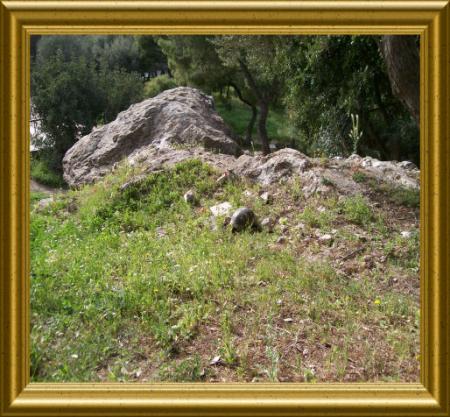 gallery_7440_2108_30708.jpg