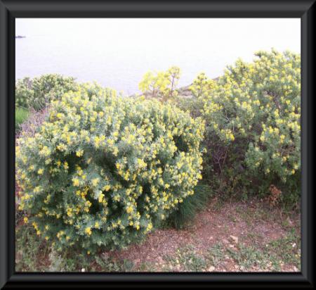 gallery_7440_2108_39082.jpg