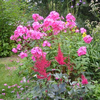 gallery_14_178_52789.jpg