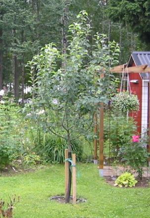 gallery_14_147_75749.jpg