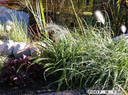 gallery_5956_1861_26846.jpg