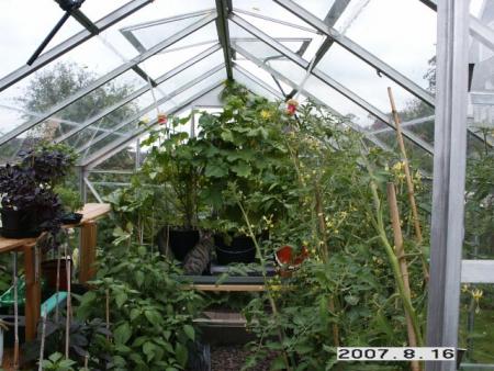 gallery_5956_1861_34238.jpg
