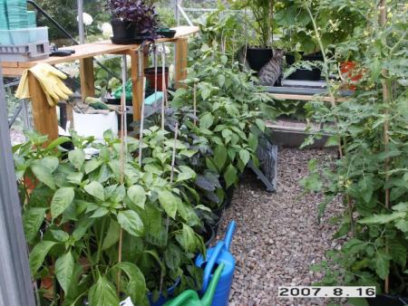 gallery_5956_1861_47842.jpg