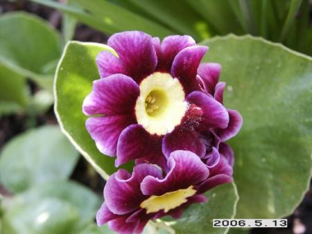 gallery_5956_2114_22851.jpg