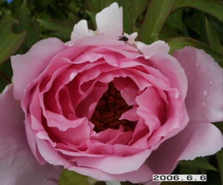 gallery_5956_2114_24726.jpg