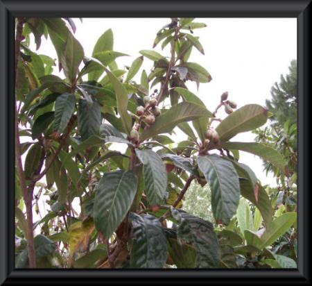 gallery_7440_2108_77572.jpg