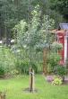 tn_gallery_14_147_75749.jpg