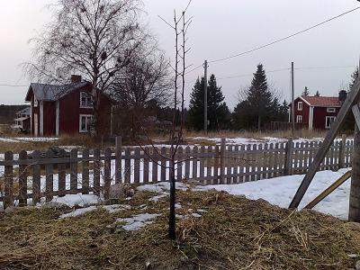 gallery_3439_2128_7800.jpg