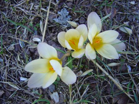 gallery_2283_674_107695.jpg