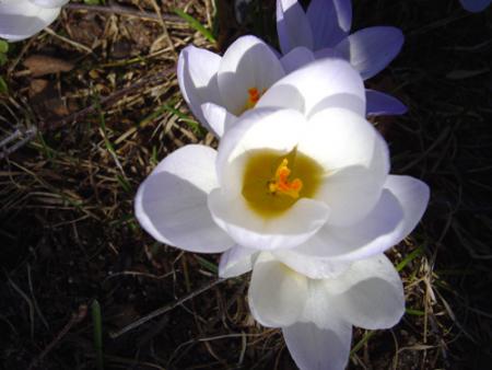 gallery_2283_674_91205.jpg