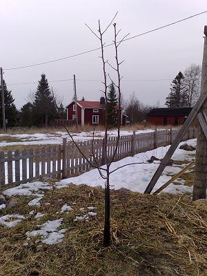 gallery_3439_2128_27106.jpg