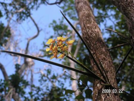 gallery_1786_2131_15461.jpg