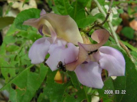 gallery_1786_2131_4620.jpg