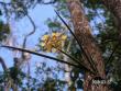 tn_gallery_1786_2131_15461.jpg