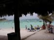 tn_gallery_1786_2131_41847.jpg