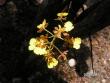 tn_gallery_1786_2131_9104.jpg