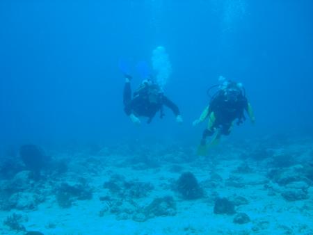 gallery_1786_2131_140020.jpg