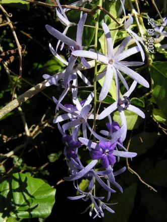 gallery_1786_2131_49836.jpg