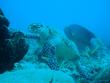 tn_gallery_1786_2131_103872.jpg