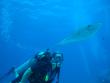 tn_gallery_1786_2131_159122.jpg
