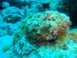 tn_gallery_1786_2131_192889.jpg