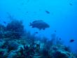 tn_gallery_1786_2131_205609.jpg