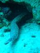 tn_gallery_1786_2131_241637.jpg