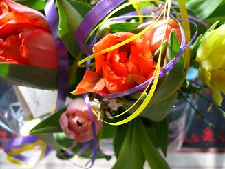 gallery_5307_1052_27481.jpg