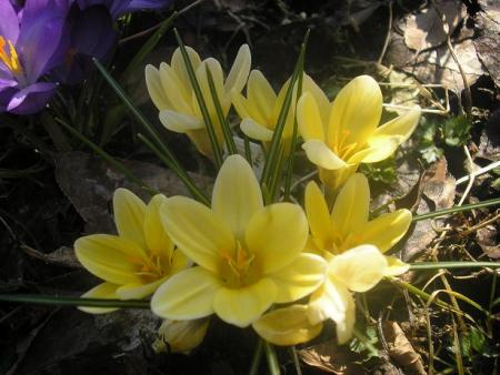 gallery_5006_2140_37106.jpg