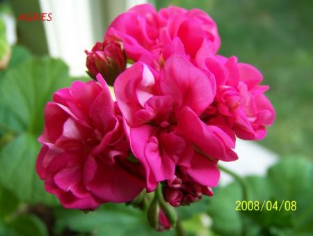 gallery_5074_1249_40380.jpg