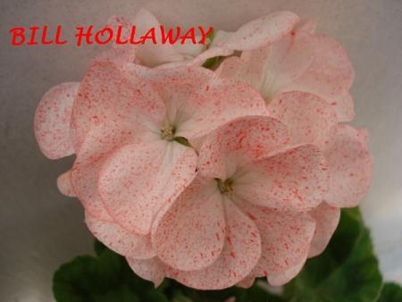 gallery_5074_2153_45056.jpg