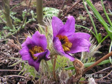 gallery_1786_1878_34084.jpg