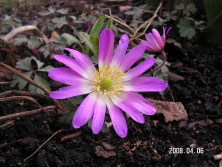 gallery_1786_1878_54645.jpg