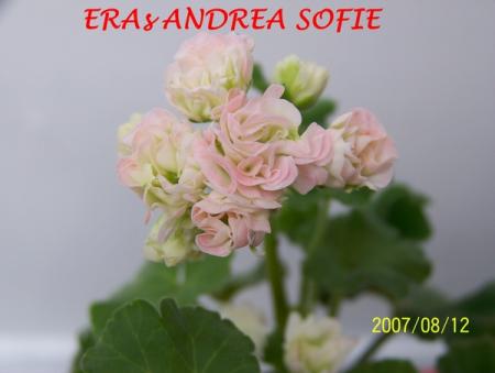 gallery_5074_2156_129164.jpg