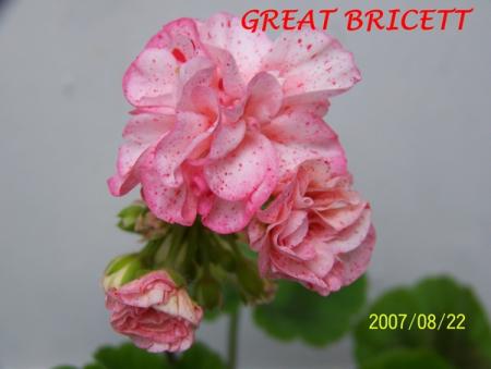 gallery_5074_2158_72720.jpg