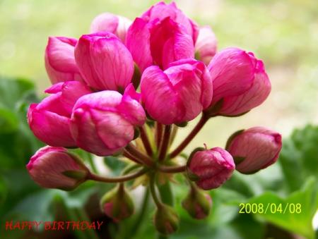 gallery_5074_2159_49630.jpg